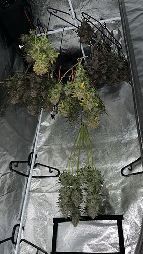 Growreport Bild 13