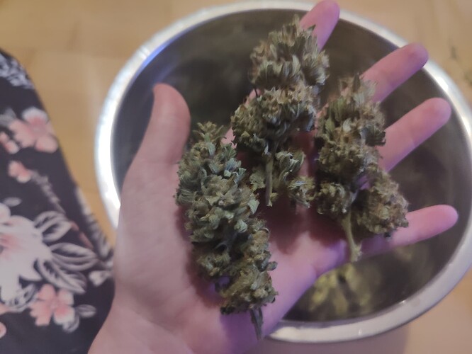 Growreport Bild 21