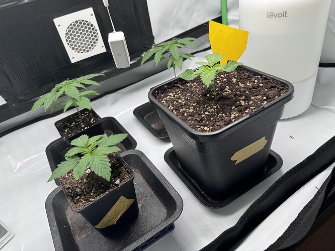 Growreport Bild 17