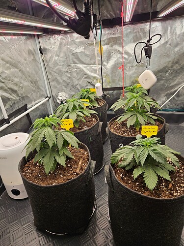 Growreport Bild 17