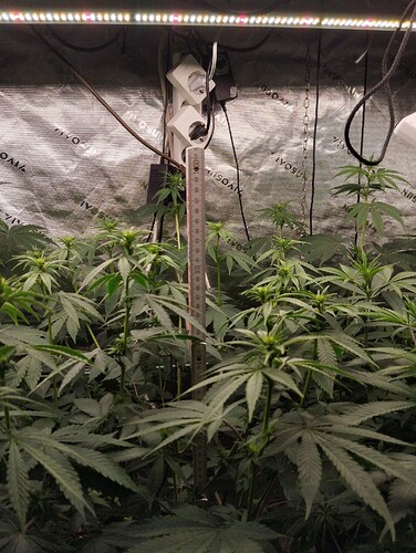 Growreport Bild 10