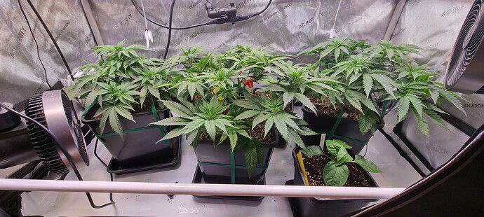 Growreport Bild 14