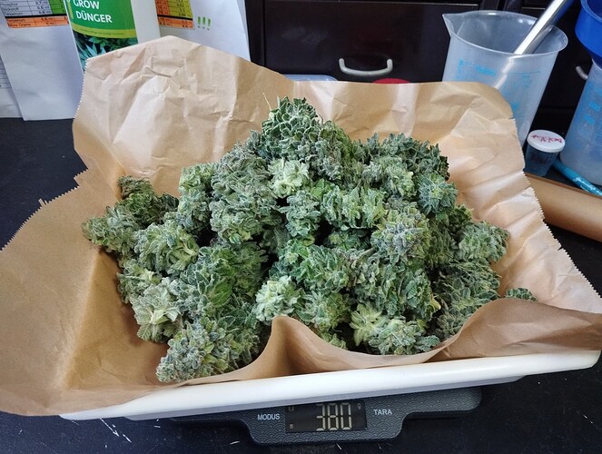 Growreport Bild 30