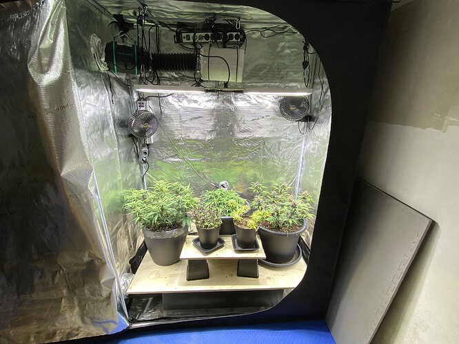Growreport Bild 2