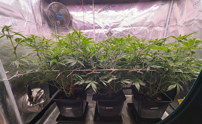 Foto 05.01.26, 07 01 46