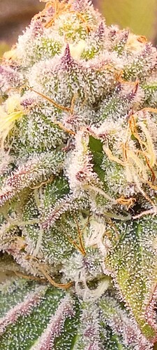 Screenshot_20240410-113556