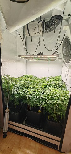 Growreport Bild 4