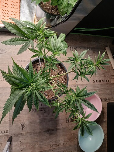 Growreport Bild 8