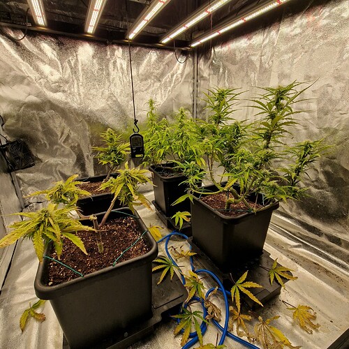Growreport Bild 12