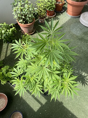 Growreport Bild 10