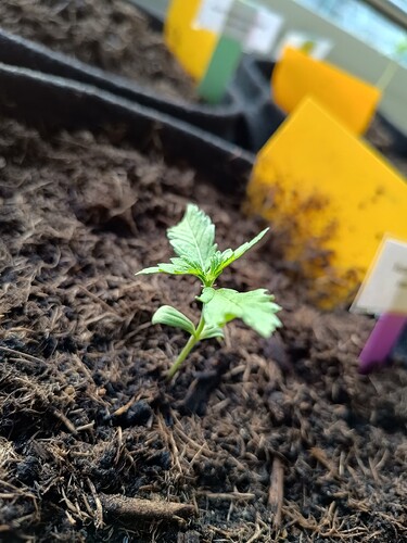 IMG_20240430_191828152_HDR