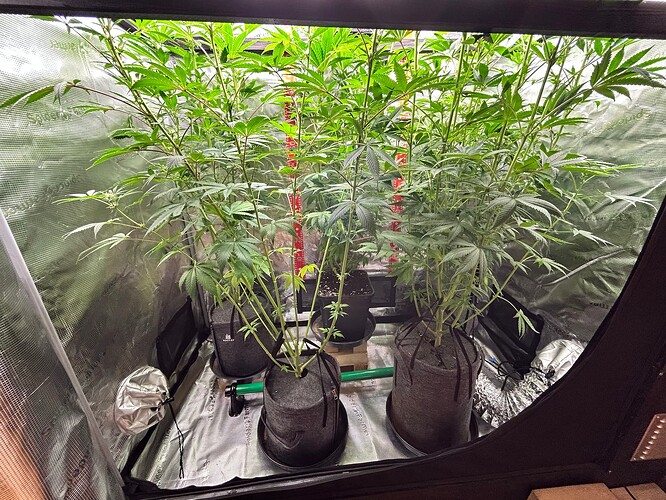 Growreport Bild 10