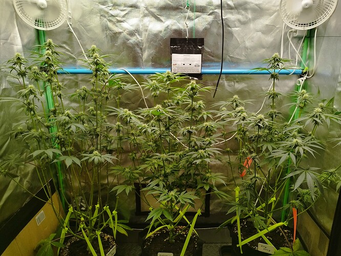 Growreport Bild 1