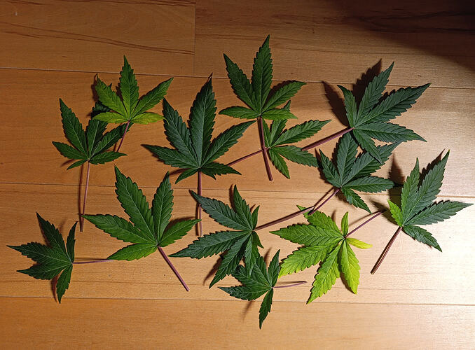 Growreport Bild 1