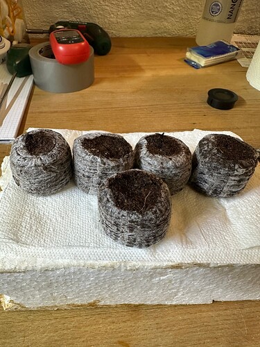 Growreport Bild 21
