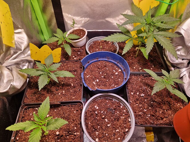Growreport Bild 10