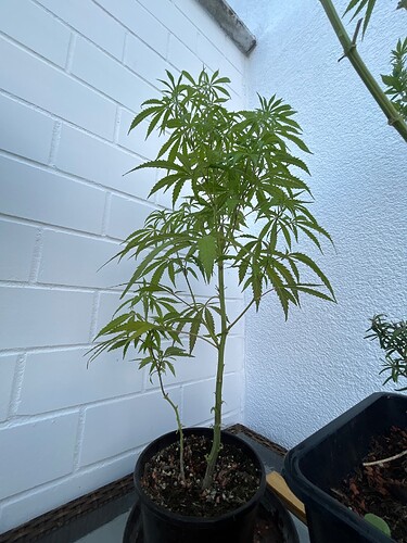 Growreport Bild 20