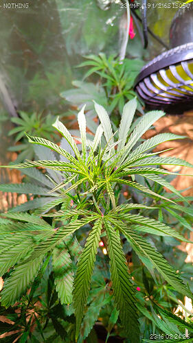 f4ac801e-84ce-48e7-bfb4-f7ff452b46a5-1_all_34336