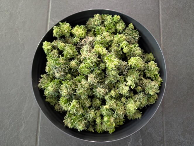 Growreport Bild 1