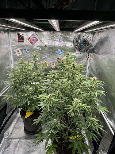 Growreport Bild 34