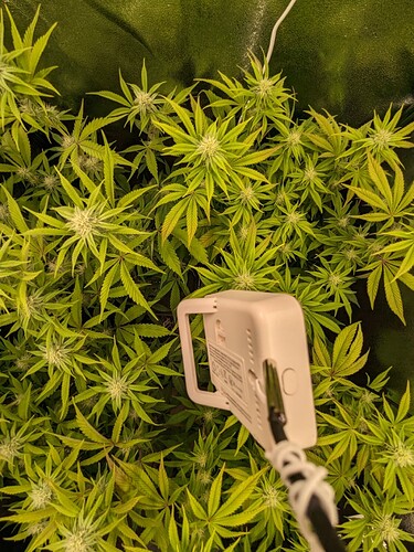 PXL_20240609_160140509