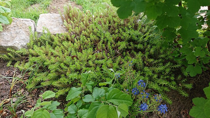 Growreport Bild 4