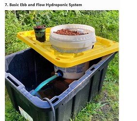 Screenshot 2025-10-17 at 04-23-21 Homemade DIY Hydroponic System (How to Build)