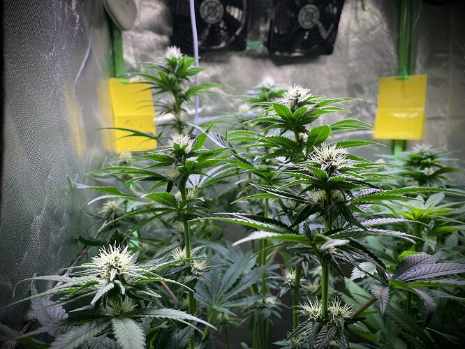 Growreport Bild 20