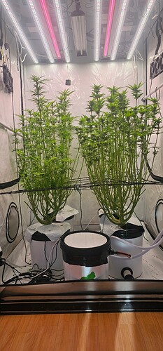 Growreport Bild 16