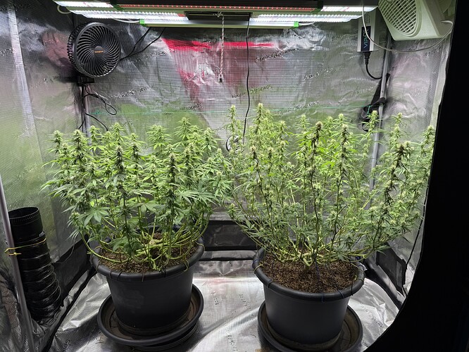 Growreport Bild 26