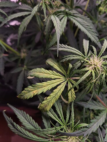 Growreport Bild 8