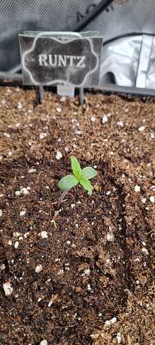 WhatsApp Image 2025-11-19 at 21.56.45 (2)