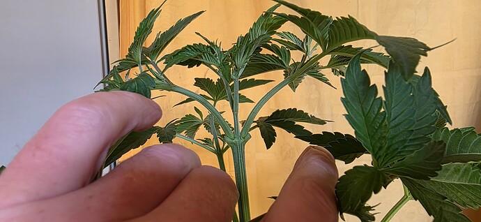 Growreport Bild 16