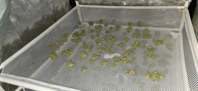 Growreport Bild 9