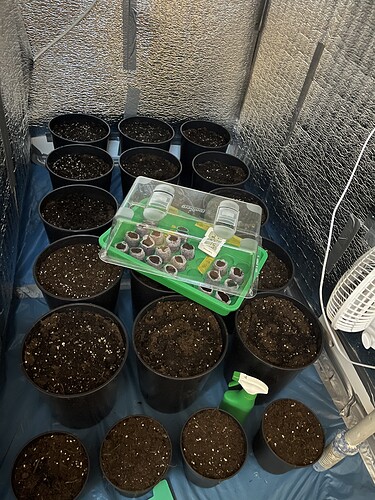Growreport Bild 4