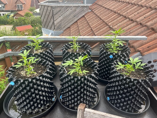 Growreport Bild 11