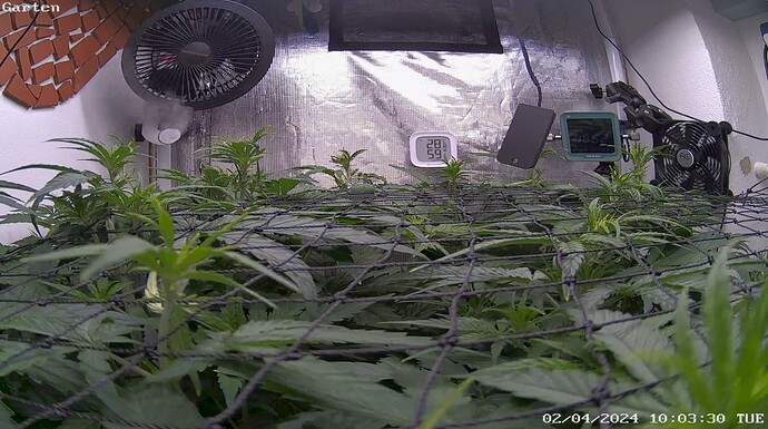 Growreport Bild 10