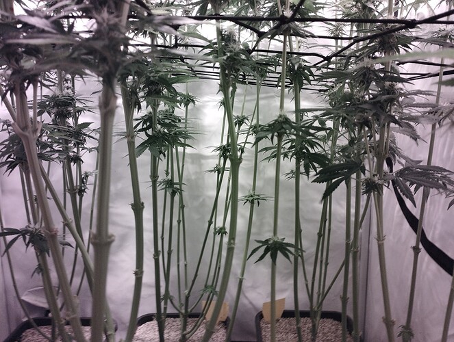 Growreport Bild 12
