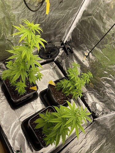Growreport Bild 6