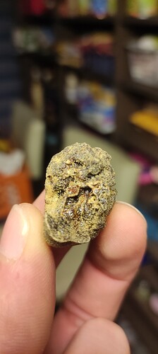 Growreport Bild 9