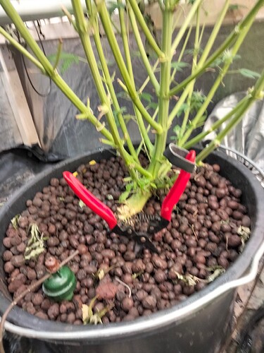 Growreport Bild 11