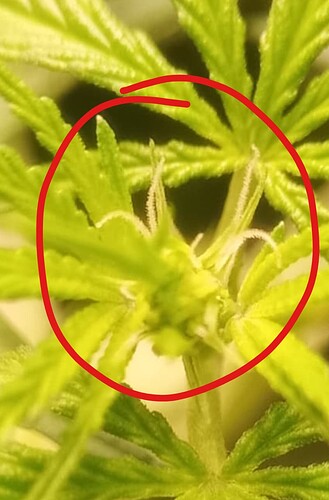 Growreport Bild 17