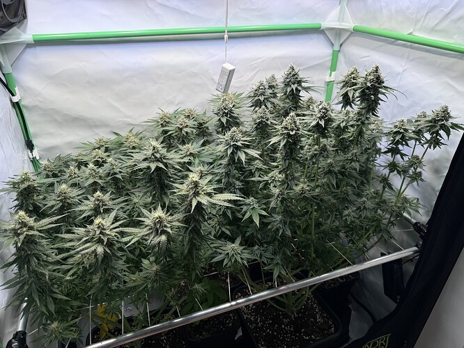 Growreport Bild 26