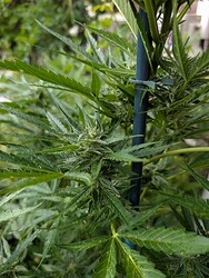 PXL_20250614_165944890