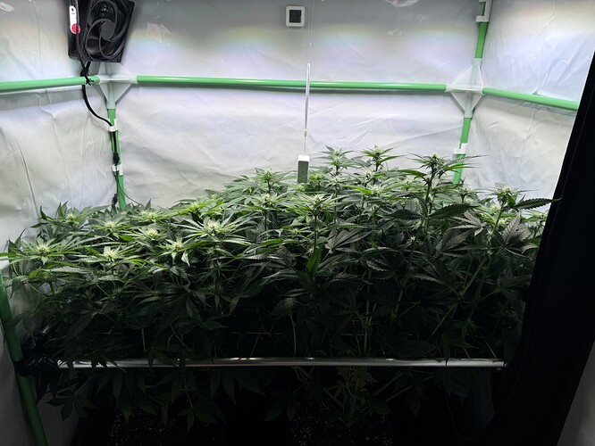 Growreport Bild 28