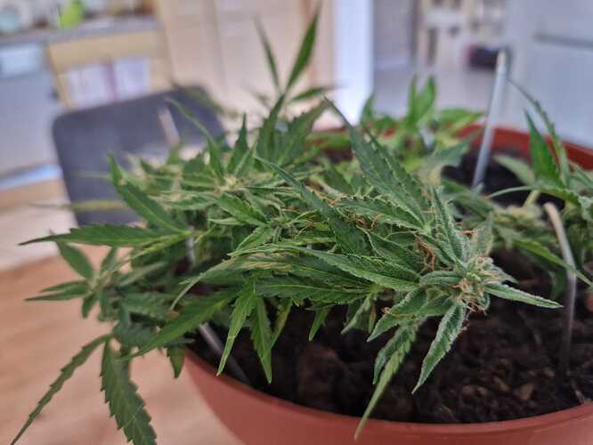 WhatsApp Image 2024-06-27 at 18.04.14