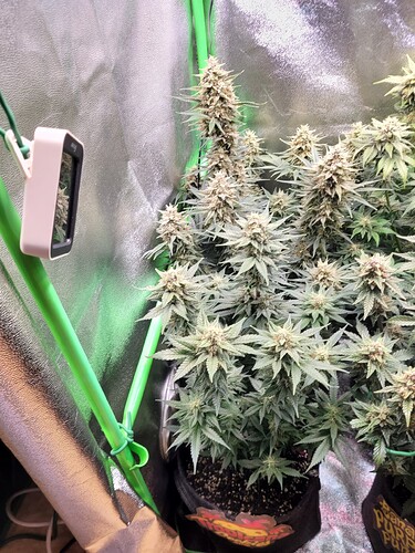 Growreport Bild 12