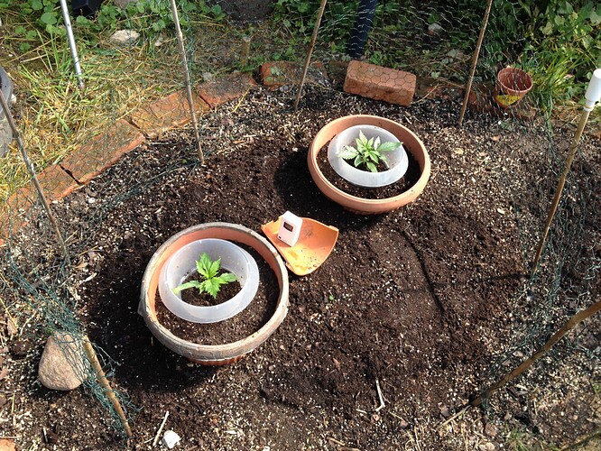Growreport Bild 56