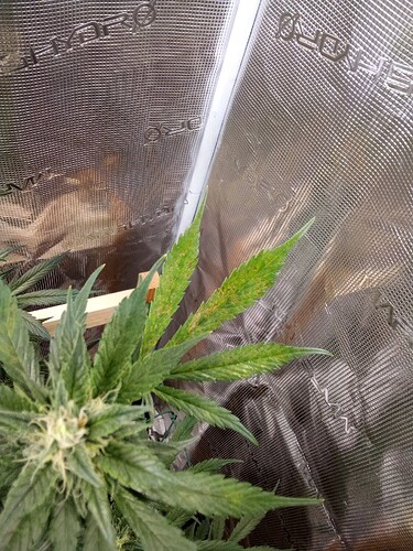 Growreport Bild 19