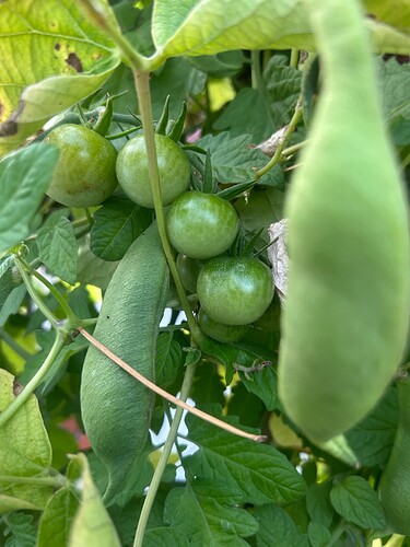 Growreport Bild 91